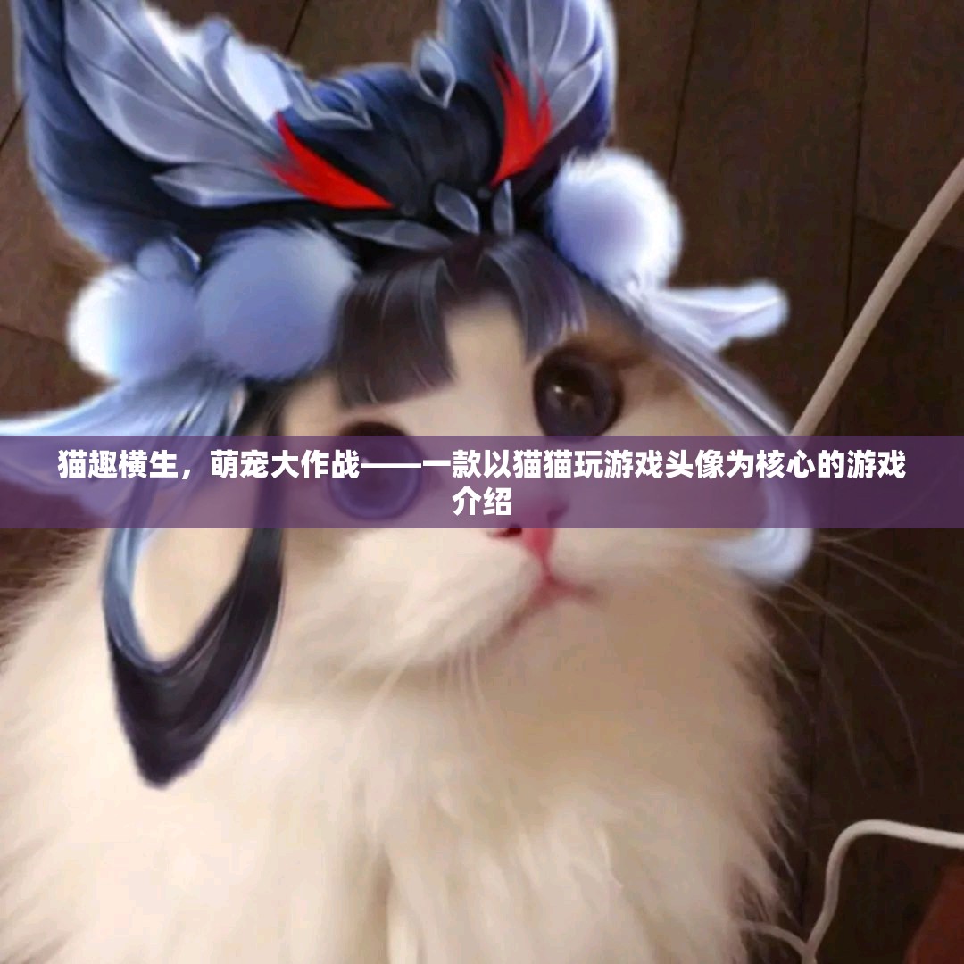 萌寵大作戰(zhàn)，貓趣橫生的游戲世界