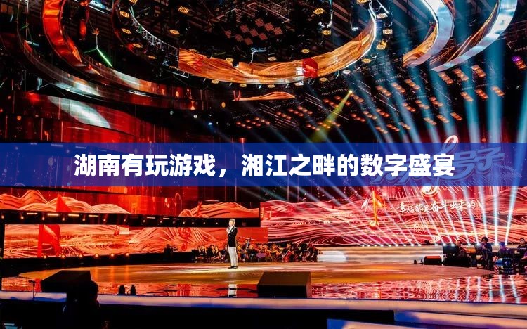 湘江之畔的數(shù)字盛宴，湖南的電子游戲文化