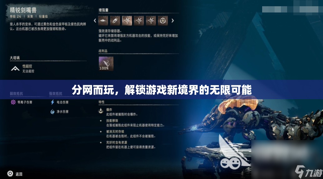 分網(wǎng)而玩，解鎖游戲新境界的無限可能