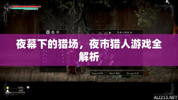 夜幕下的獵場(chǎng)，全面解析夜市獵人游戲
