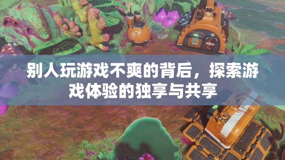 探索游戲體驗的獨享與共享，揭秘他人游戲不爽的背后