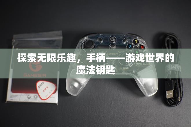 手柄，解鎖游戲世界無限樂趣的魔法鑰匙