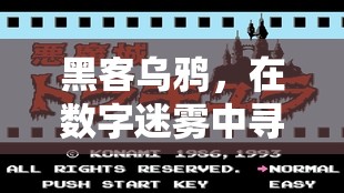 數(shù)字迷霧中的游戲之匙，黑客烏鴉的探索之旅