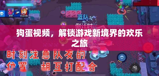 狗蛋視頻，解鎖游戲新境界的歡樂探險之旅