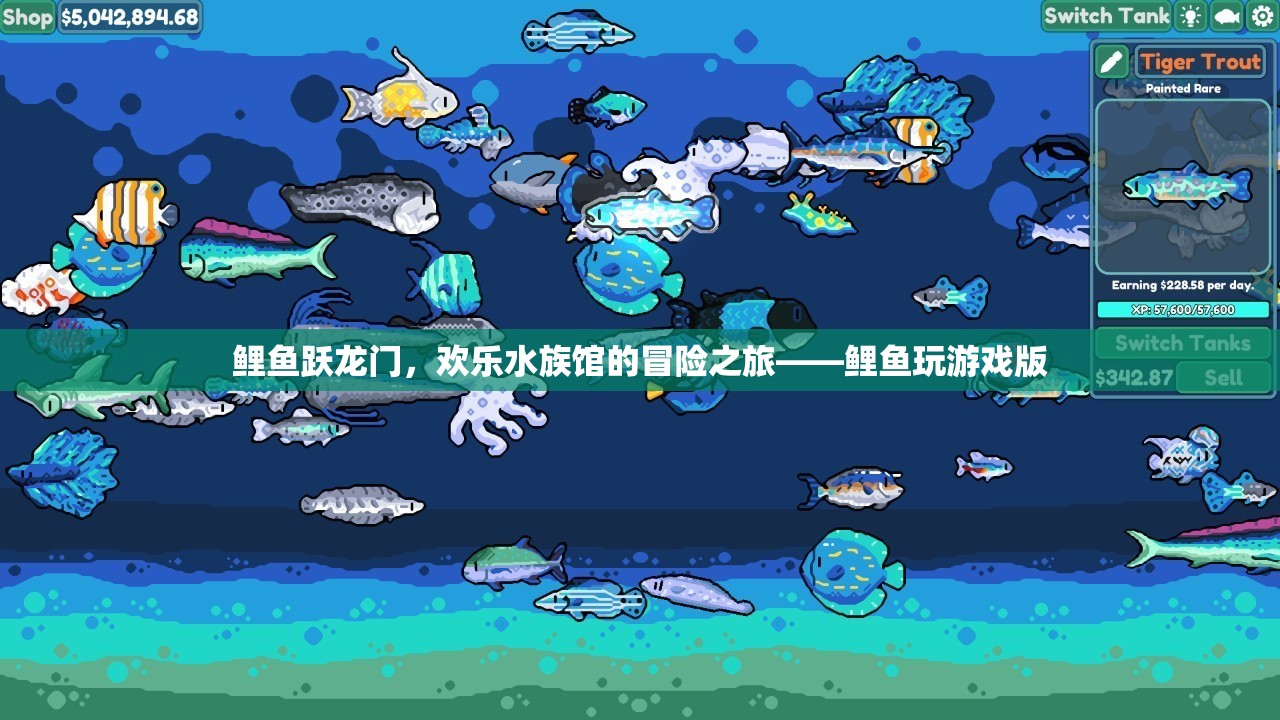 鯉魚躍龍門，歡樂水族館的冒險之旅