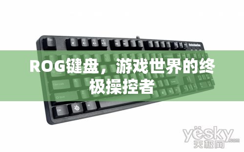 ROG鍵盤，游戲世界的終極操控者