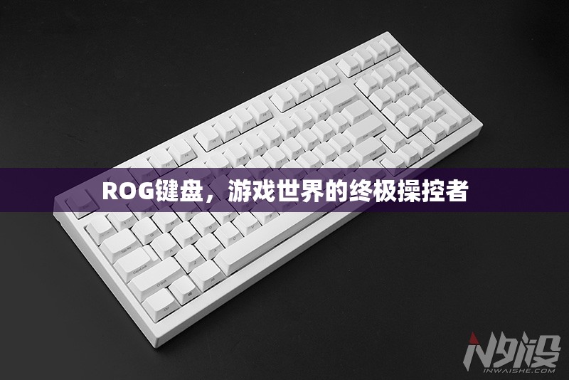 ROG鍵盤，游戲世界的終極操控者