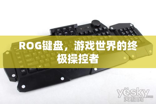 ROG鍵盤，游戲世界的終極操控者