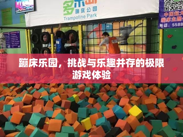 蹦床樂園，挑戰(zhàn)與樂趣的極限游戲之旅