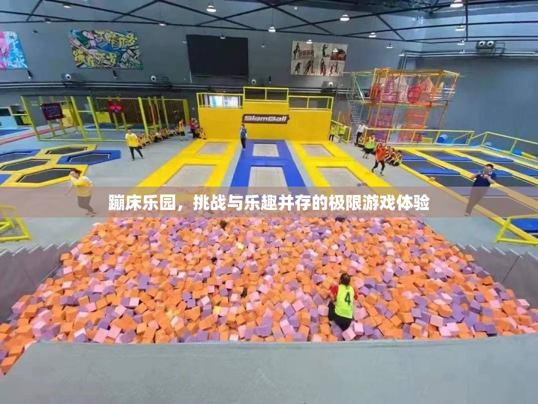 蹦床樂園，挑戰(zhàn)與樂趣的極限游戲之旅