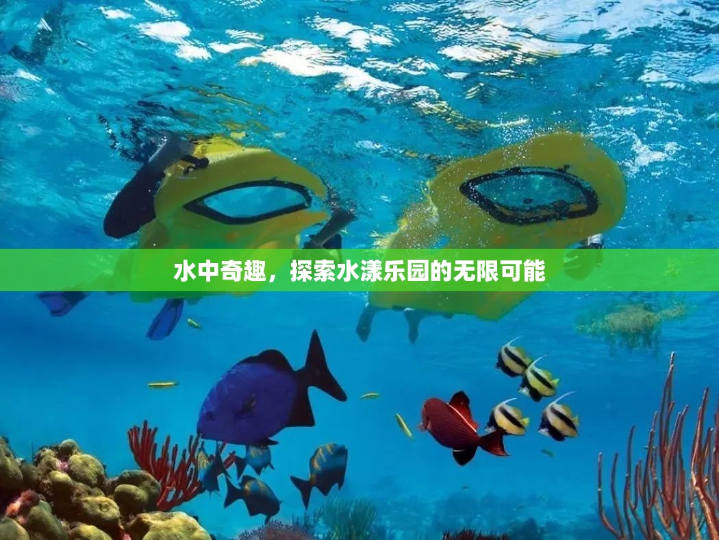 水漾樂園，探索水中奇趣的無限可能