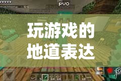 探索游戲文化的深度與廣度，地道表達(dá)中的游戲世界