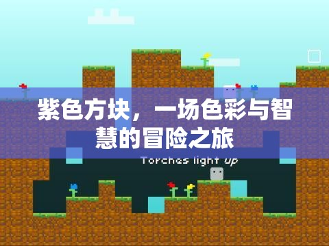 紫色方塊，色彩與智慧的冒險之旅