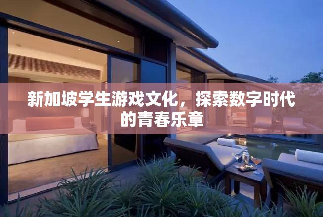 新加坡學(xué)生游戲文化，數(shù)字時代青春樂章的探索