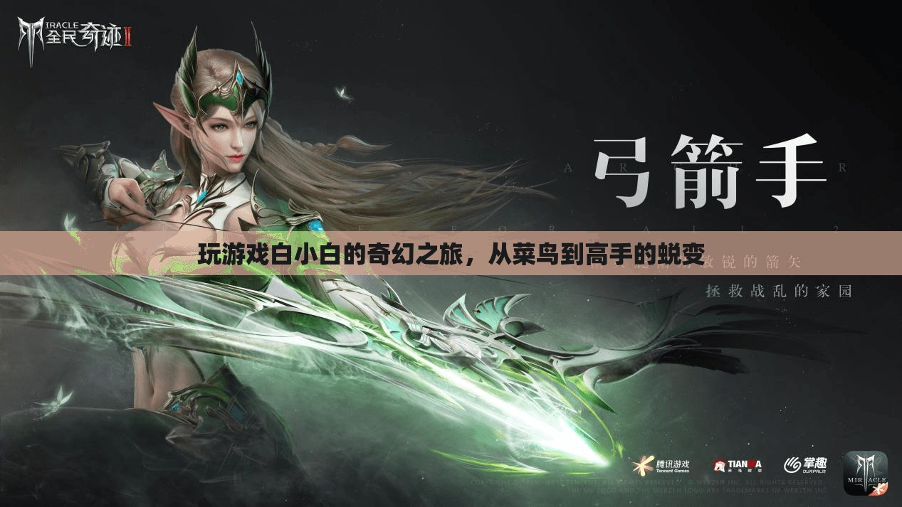 白小白的奇幻之旅，從菜鳥到高手的蛻變
