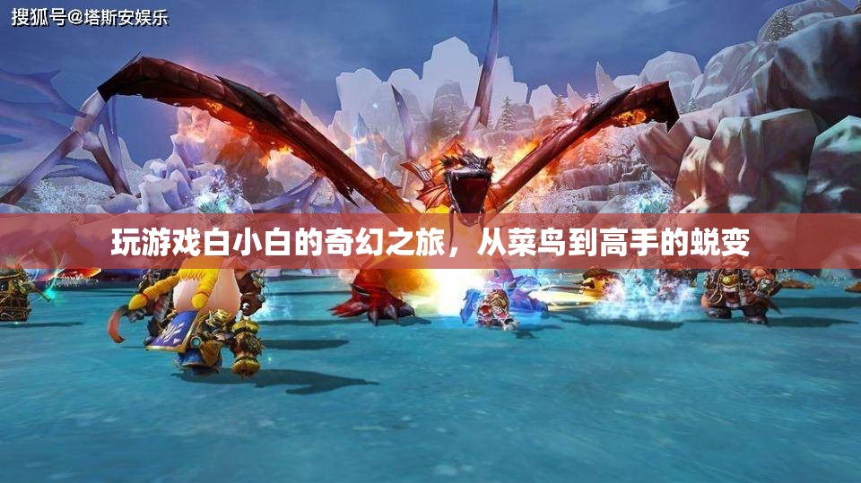 白小白的奇幻之旅，從菜鳥到高手的蛻變