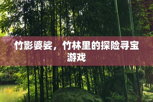竹林秘境，一場(chǎng)尋寶與自然的奇妙探險(xiǎn)
