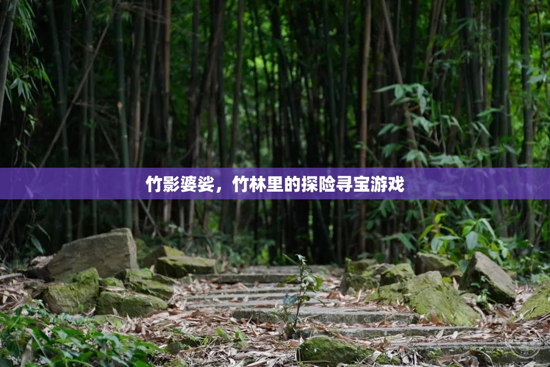 竹林秘境，一場(chǎng)尋寶與自然的奇妙探險(xiǎn)