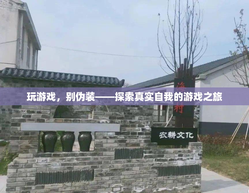 玩游戲，別偽裝，一場(chǎng)探索真實(shí)自我的游戲之旅