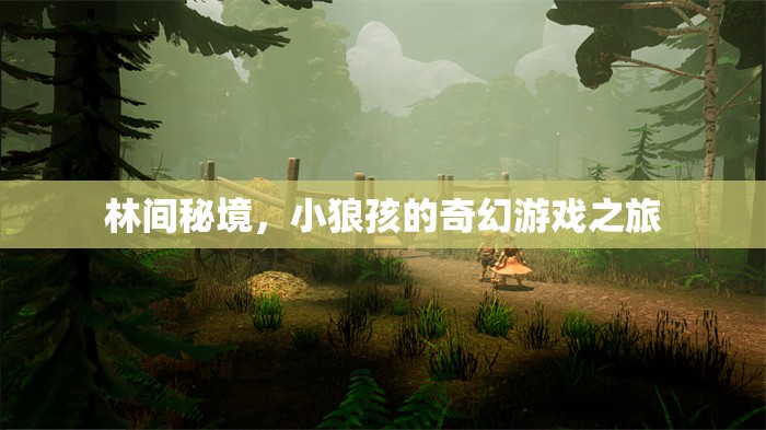林間秘境，小狼孩的奇幻游戲之旅