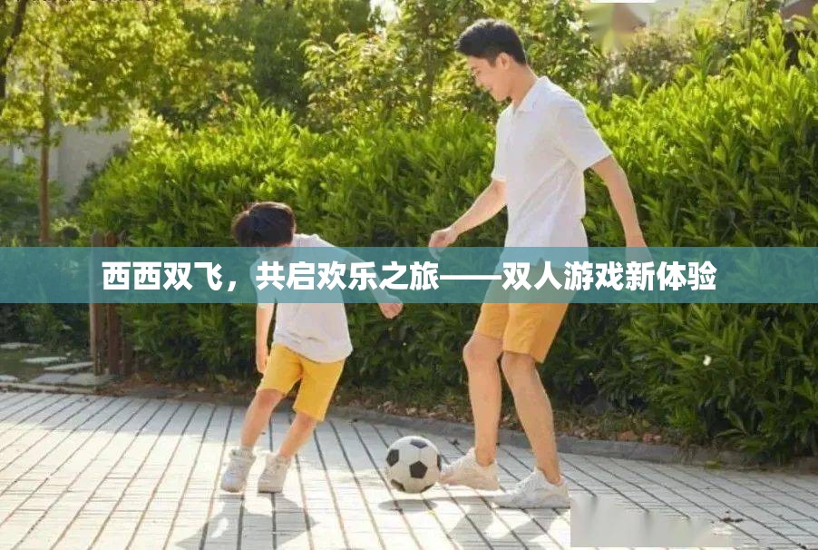西西雙飛，解鎖雙人游戲新樂趣的歡樂之旅