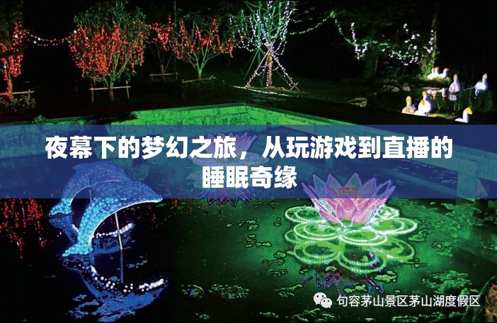 夜幕夢幻之旅，從游戲到直播的睡眠奇緣