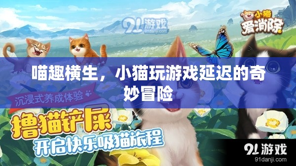 喵趣橫生，小貓?jiān)谔摂M游戲世界中的奇妙延遲冒險(xiǎn)