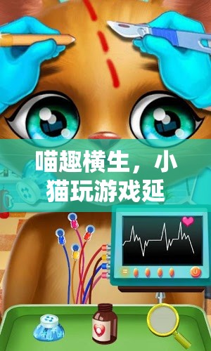 喵趣橫生，小貓?jiān)谔摂M游戲世界中的奇妙延遲冒險(xiǎn)
