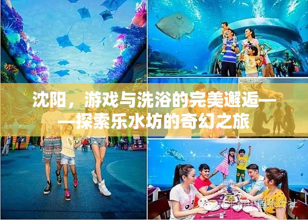 沈陽，游戲與洗浴的夢幻交融——樂水坊的奇幻探索之旅