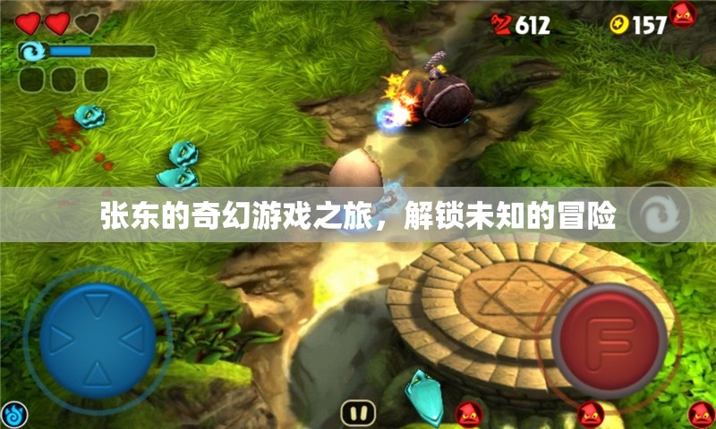 張東的奇幻游戲之旅，解鎖未知的冒險