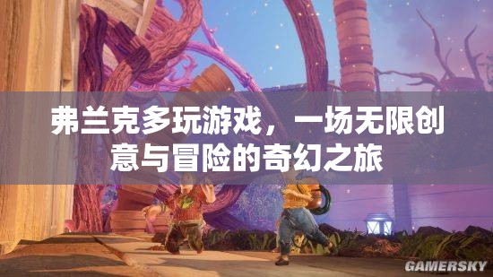 弗蘭克，無限創(chuàng)意與冒險(xiǎn)的奇幻游戲之旅