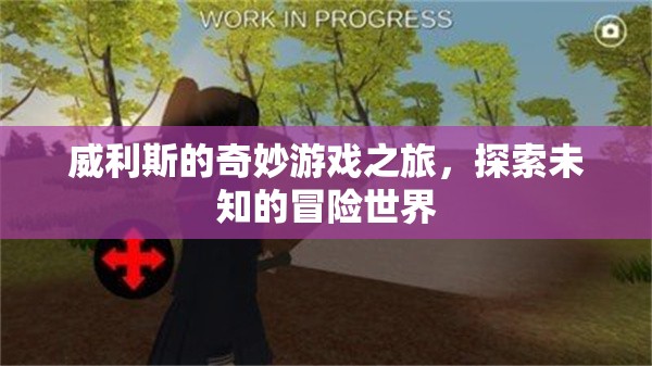 威利斯的奇妙游戲之旅，探索未知的冒險世界