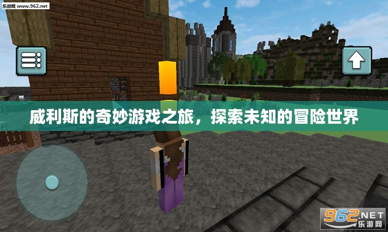 威利斯的奇妙游戲之旅，探索未知的冒險世界