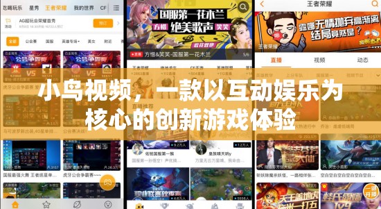 探索互動(dòng)娛樂新境界，小鳥視頻游戲體驗(yàn)