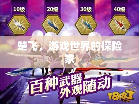 楚飛，游戲世界的探險(xiǎn)傳奇