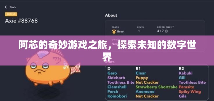阿芯的數(shù)字奇境，一場未知世界的奇妙探險(xiǎn)