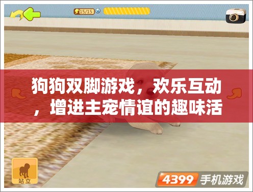 歡樂雙腳游戲，增進主寵情誼的趣味互動