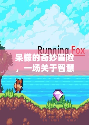 呆檬的智慧與趣味之旅，一場奇妙的冒險(xiǎn)游戲