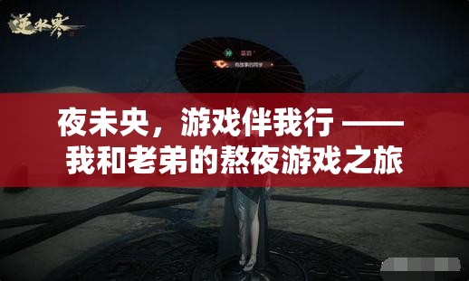 夜未央，兄弟共游，我們的熬夜游戲之旅