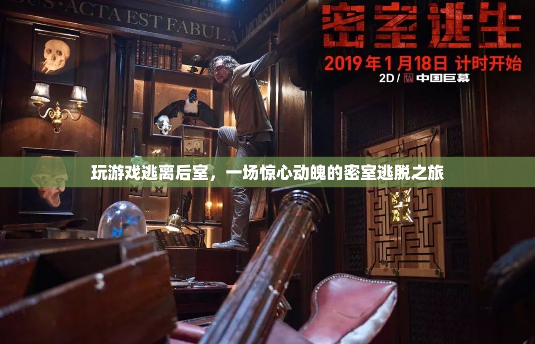 逃離后室，一場驚心動(dòng)魄的密室逃脫之旅