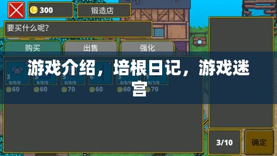 培根日記，游戲迷宮的冒險之旅