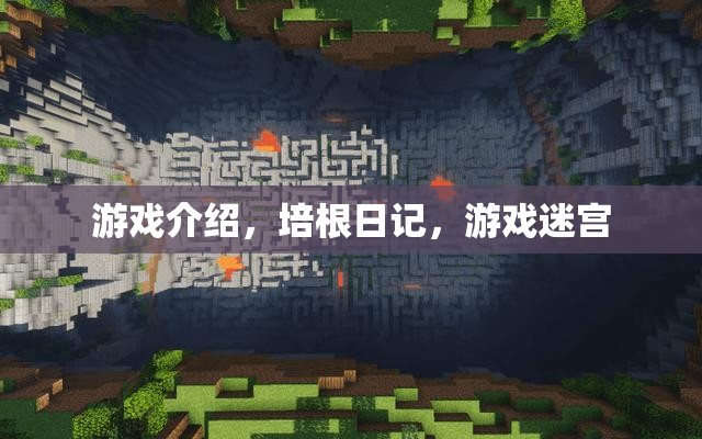 培根日記，游戲迷宮的冒險之旅