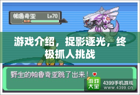 終極抓人挑戰(zhàn)，捉影逐光游戲揭秘