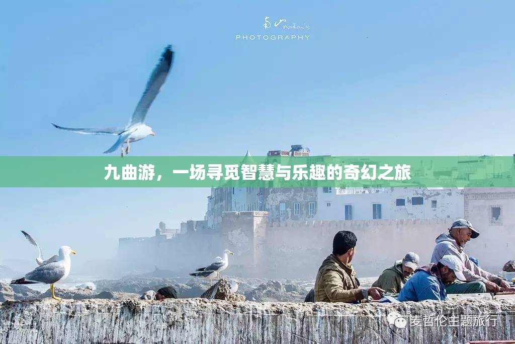 九曲游，智慧與樂趣的奇幻探索之旅