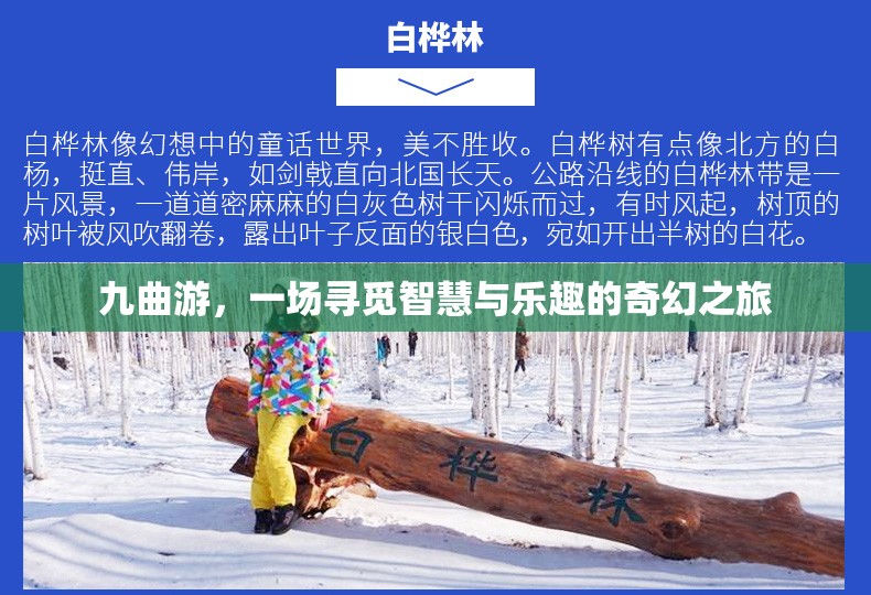 九曲游，智慧與樂趣的奇幻探索之旅