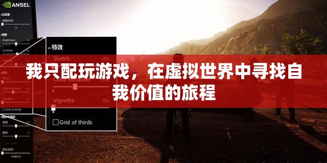 從現(xiàn)實(shí)到虛擬，我在游戲世界中尋找自我價值的旅程