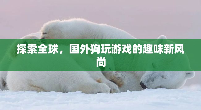 全球探索，國外狗狗的趣味游戲新風尚