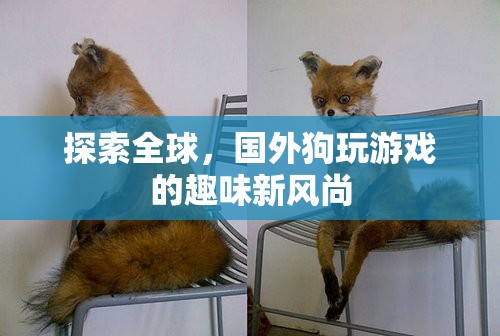 全球探索，國外狗狗的趣味游戲新風尚