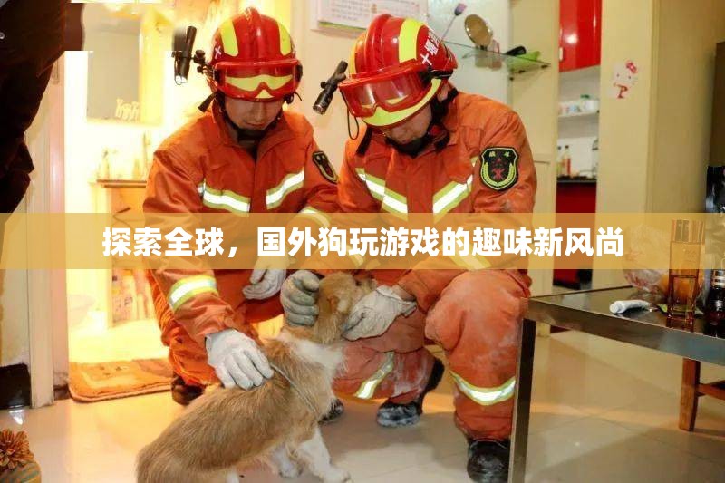 全球探索，國外狗狗的趣味游戲新風尚
