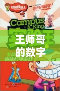 王師哥的數(shù)字樂園，智慧與策略的冒險之旅
